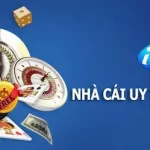 Nhà cái hợp pháp tại việt nam