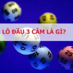 Lô đầu 3 câm đánh con gì